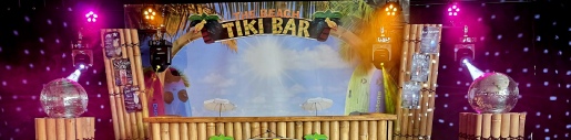 Beach DJ Tiki Bar Show