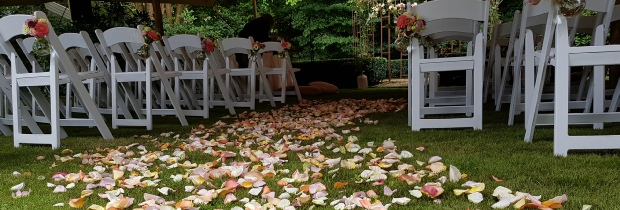 Trouwen in een tuin, Feesten in een tuin, Two Discjockeys